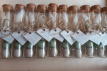 Blossombs2 Blossombs dans le tube