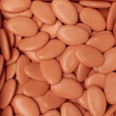 dr-0001 Terra - 100 gr Dragées Debock